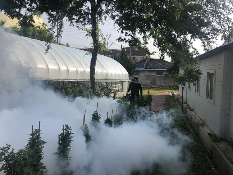 1c36fa967ddf6d1b84a7d7a1c36eed94_1559636